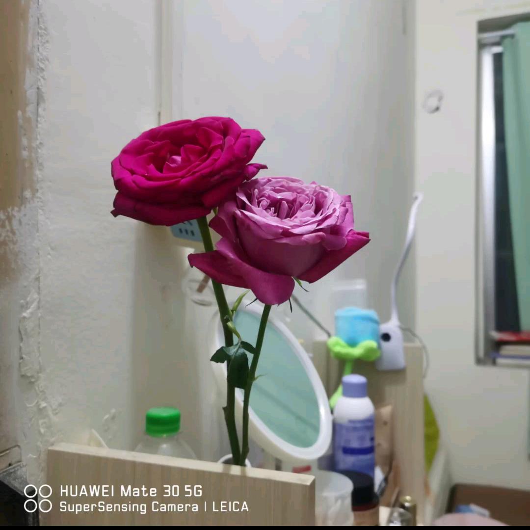 *芳芳
