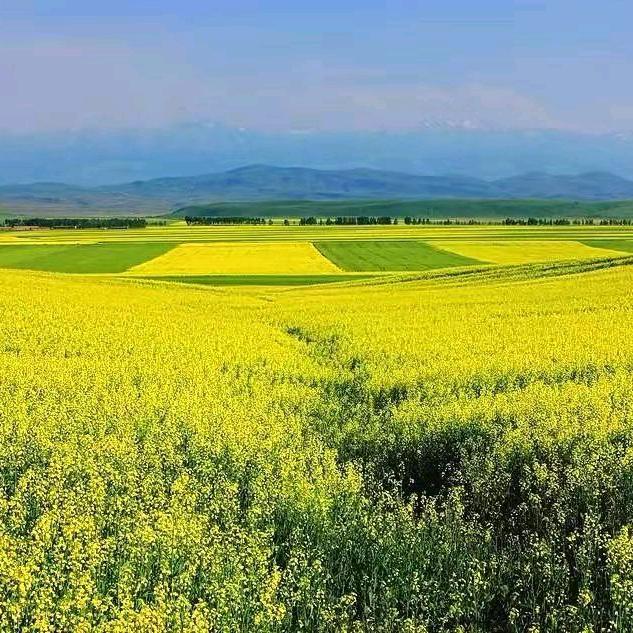 👑干掉上帝便是神👑