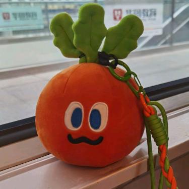 与其让你了解我🥕