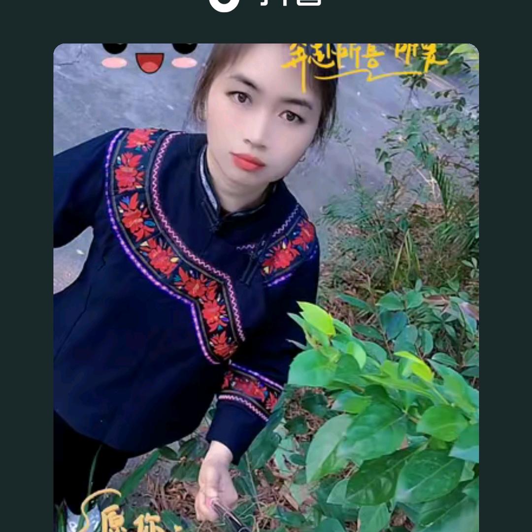 明月秋风