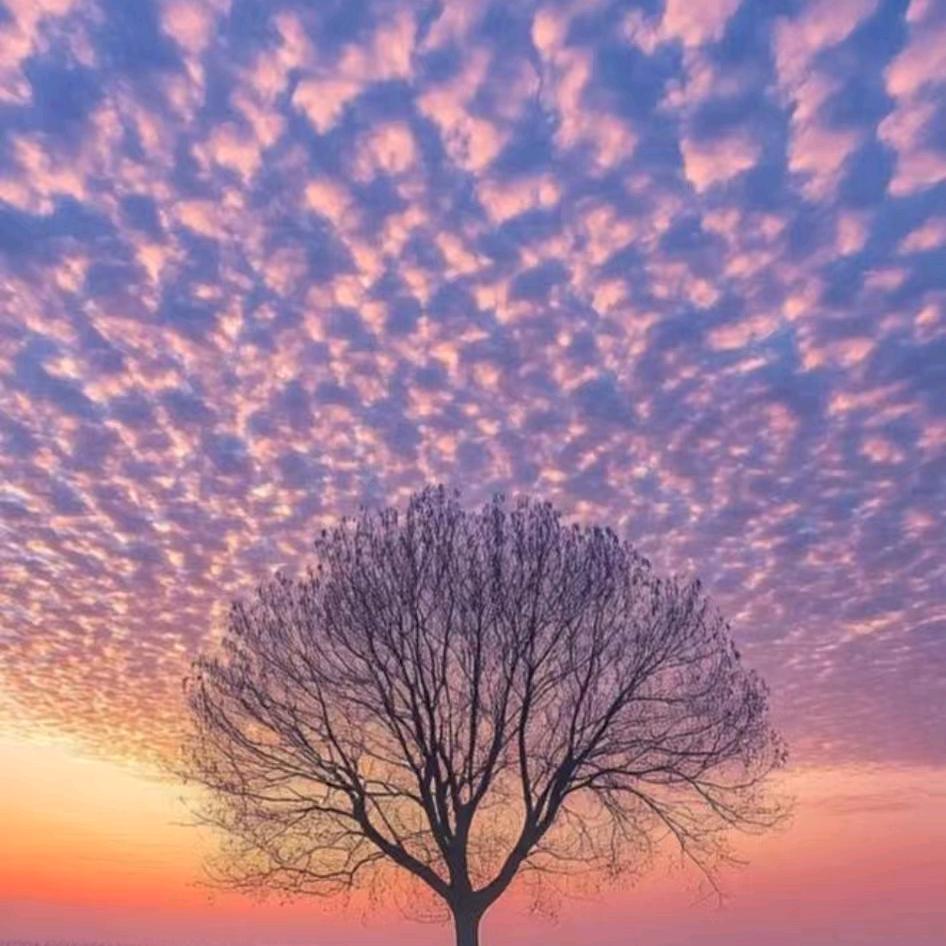 (❁´◡简单`❁)*大叔✲ﾟ*