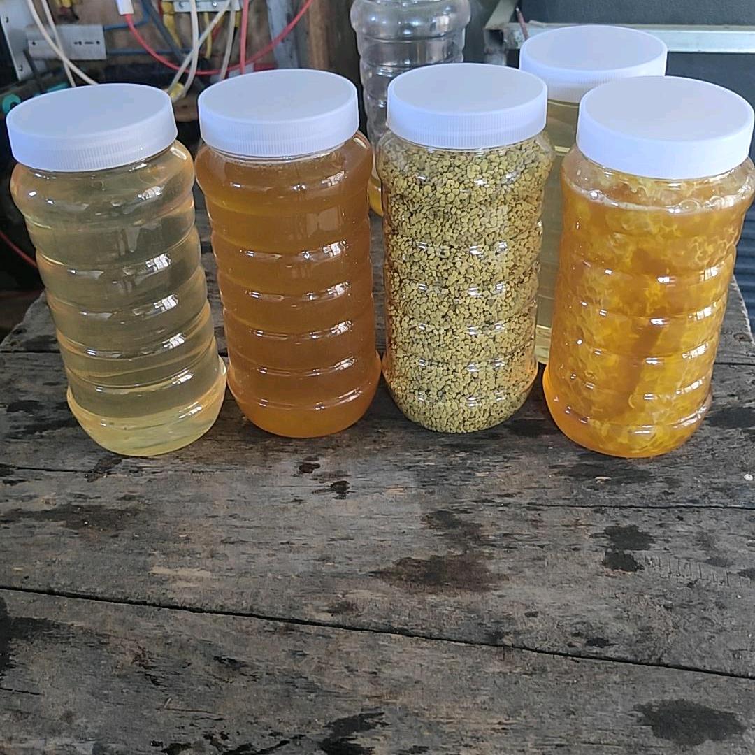 追花夺蜜养蜂人