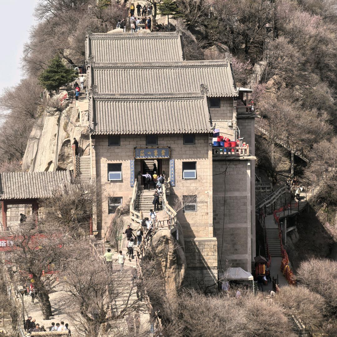 杨铠宁