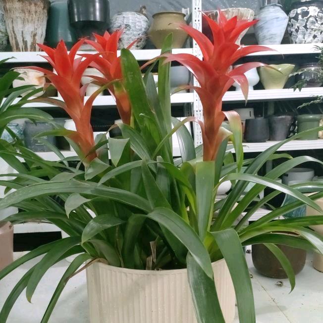 别惹姐，姐是你们惹不起人，拒绝私聊