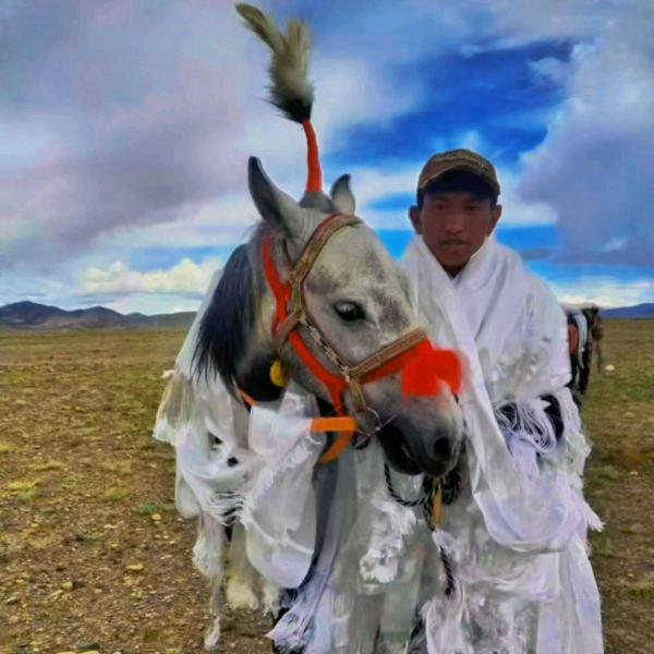 🐴扎西