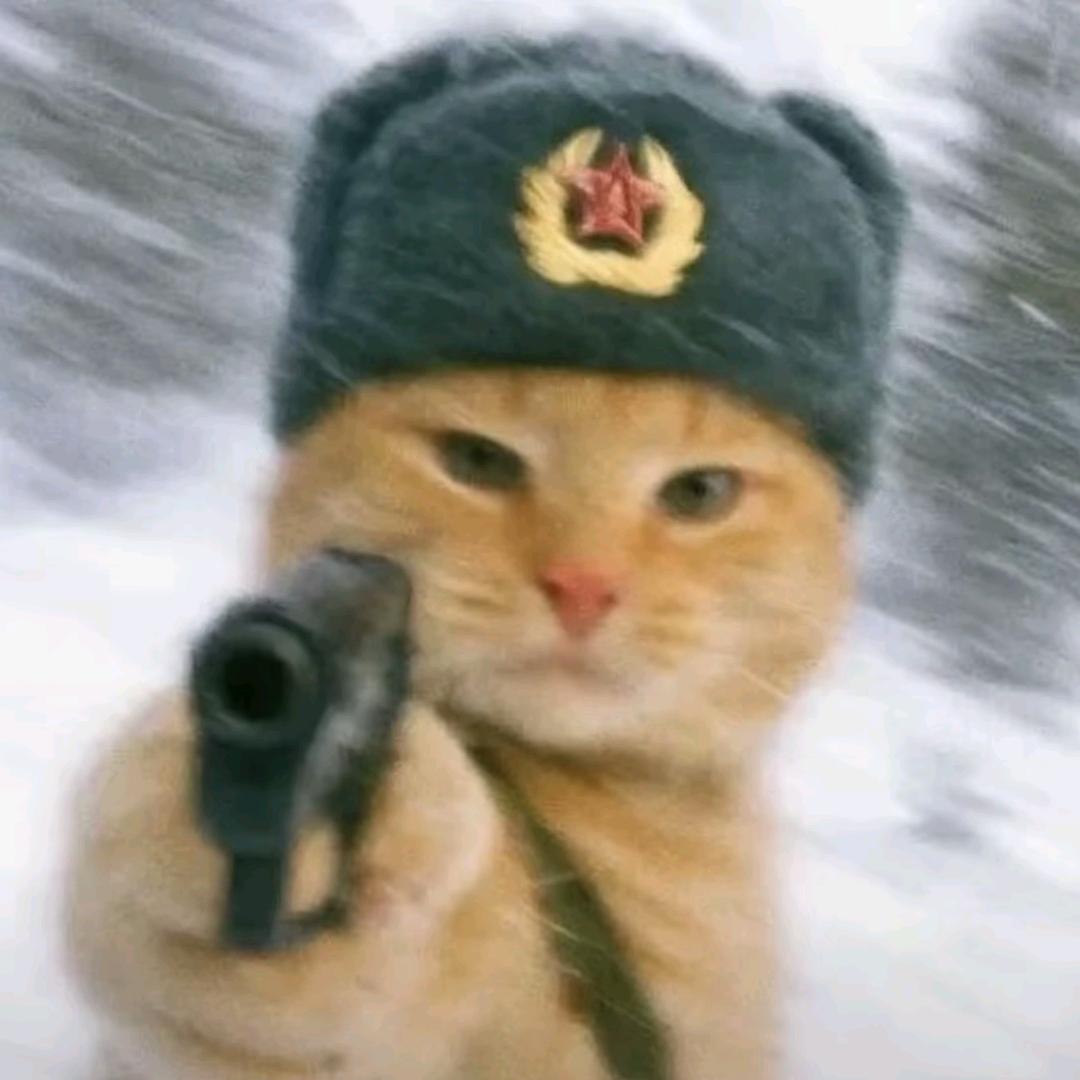 哈哈哈.
