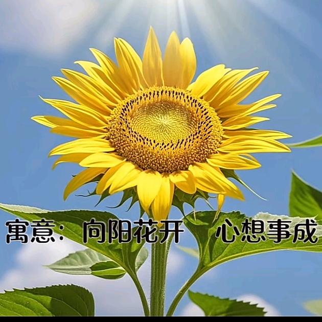 燕儿❤️❤️     （拒绝连赞）