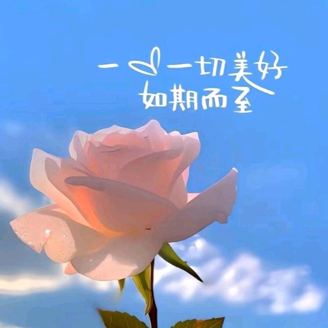 🇨🇳愛誰誰（導彈）