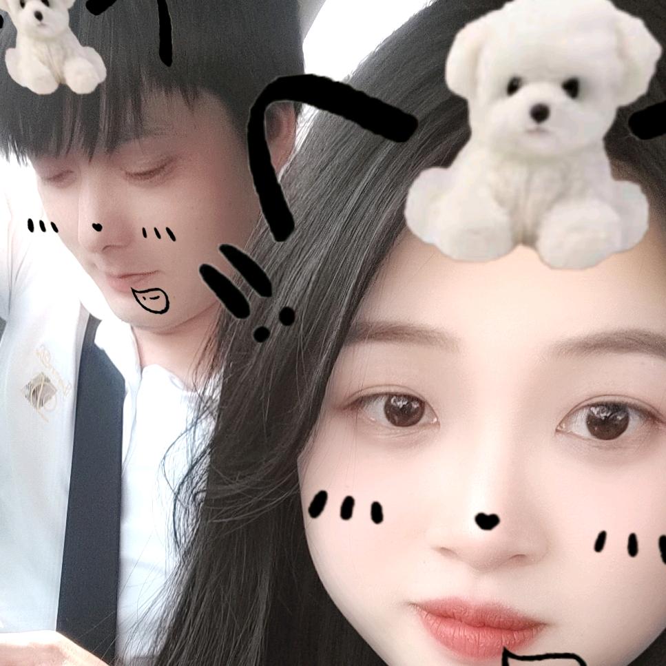 树上有只小周熊🧸