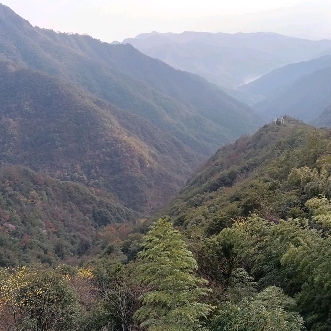 阿浪