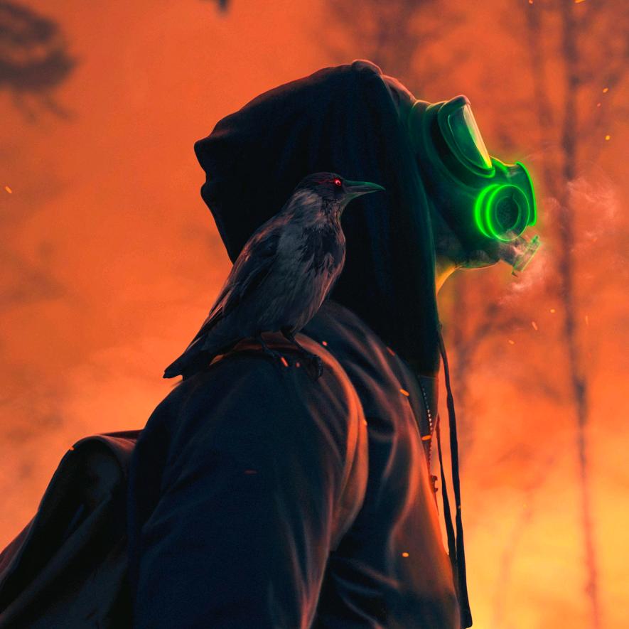 一只爱看视频的小熊