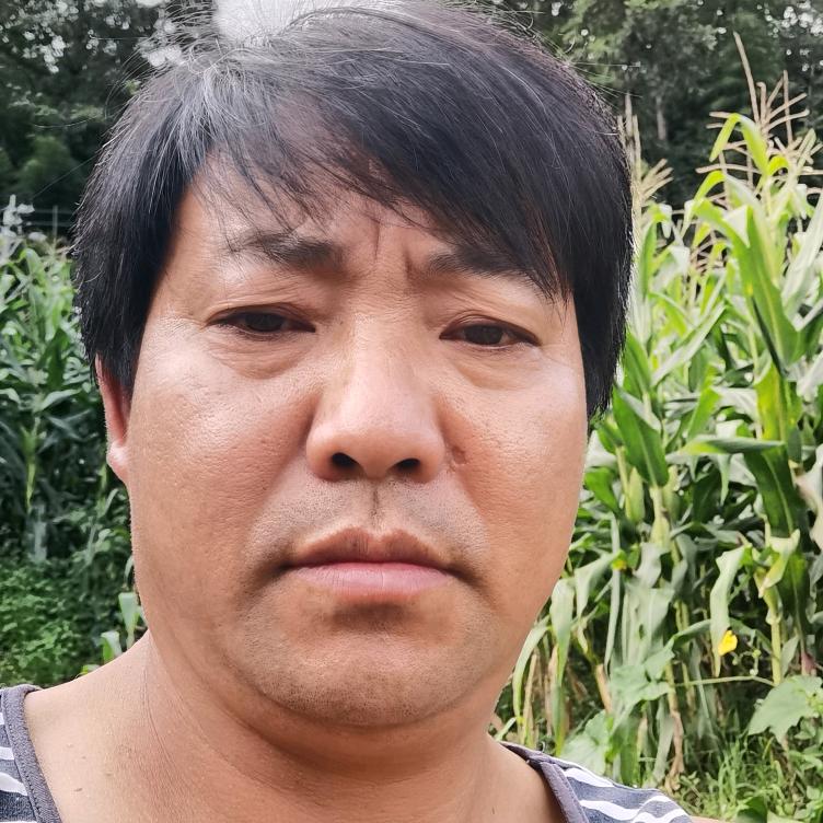 行走四方