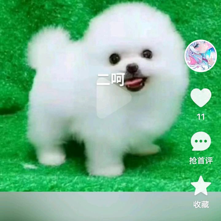 梦中的人
