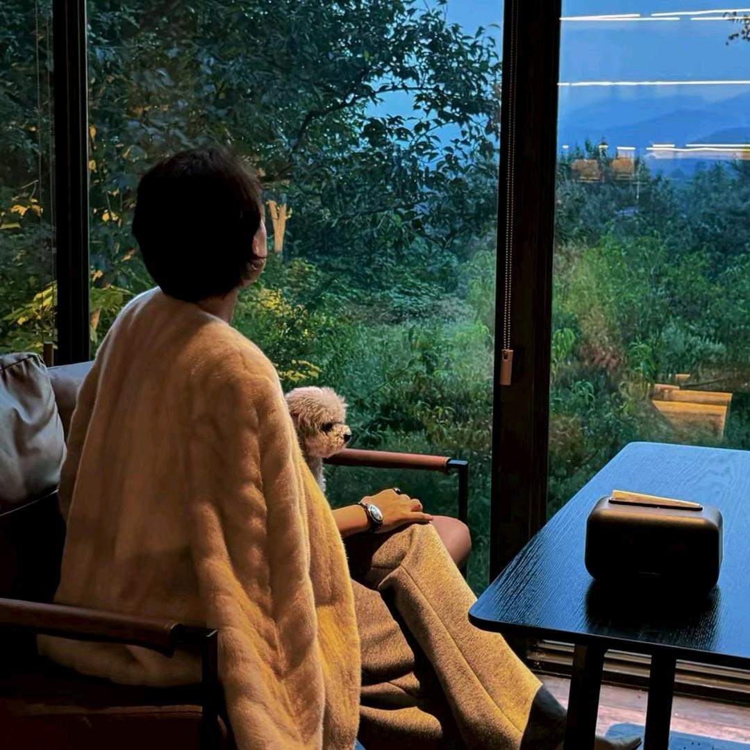 叶子定制 直播精选