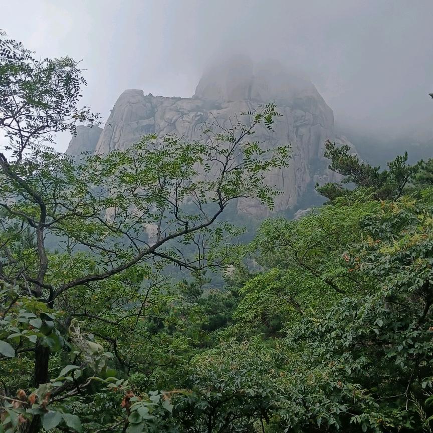 ♥️🀄️🈶☀️