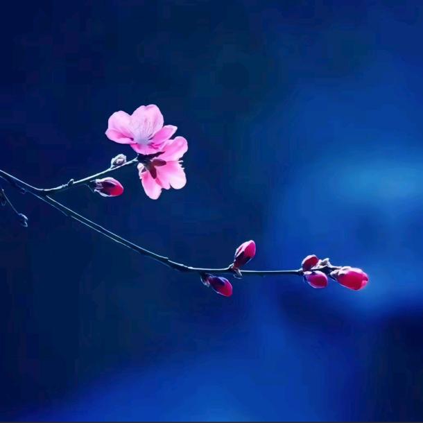 万般皆苦 唯有自渡