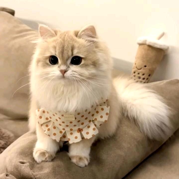 wanyuan☀️