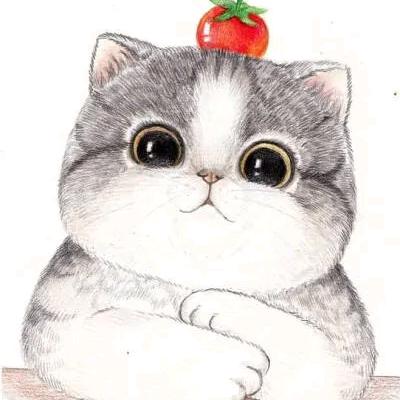 青山云雾