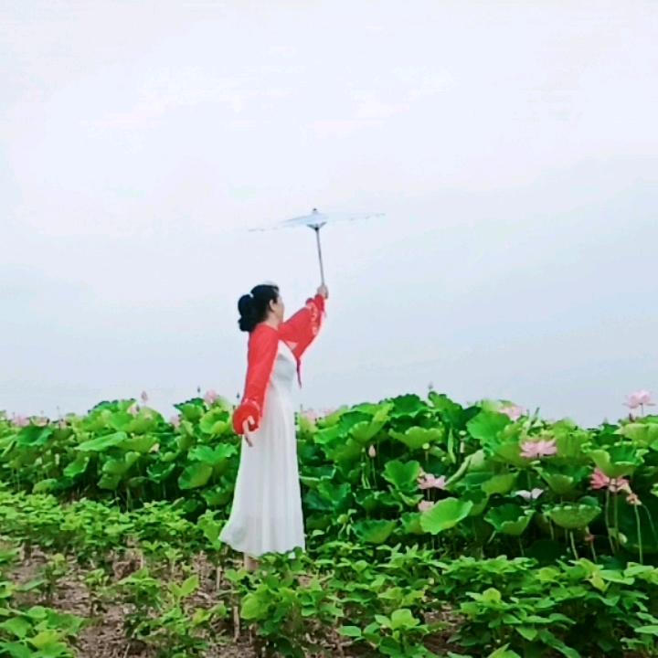 健康常在。🌹🌹🌹