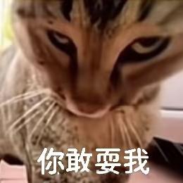 🌈彩虹灬灬