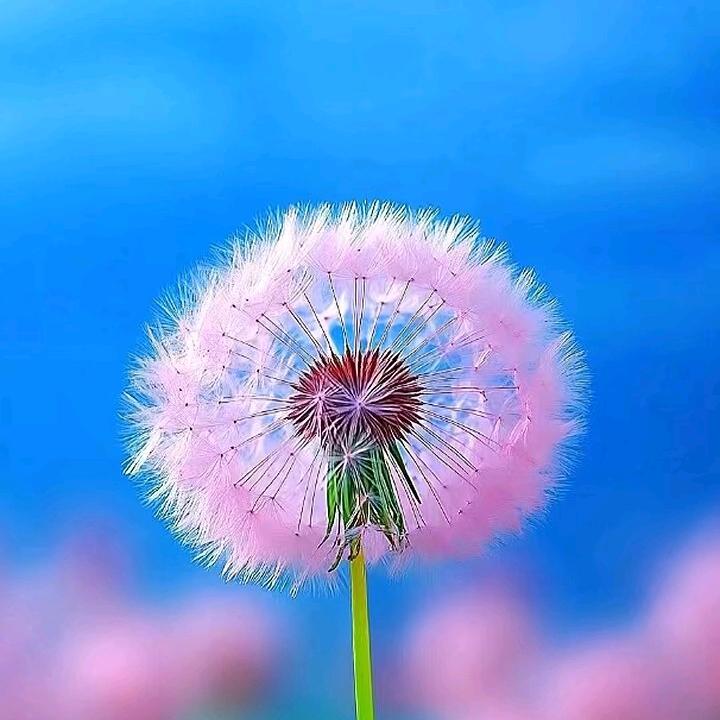 💞知足常乐ꫛ💞