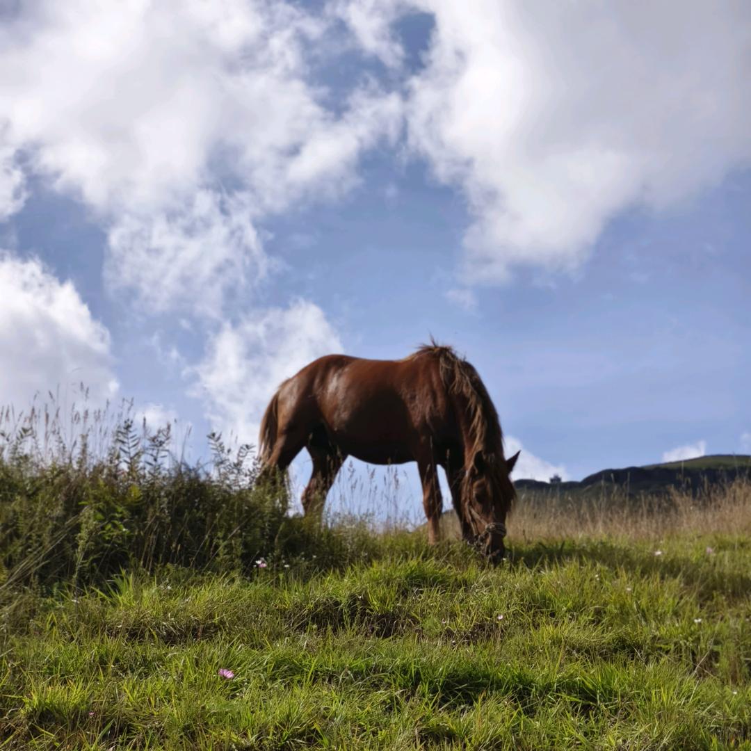 旅居小陈同学（3）