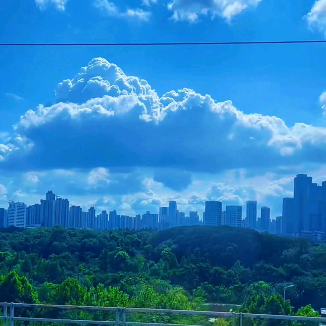 抖音特别观赏师