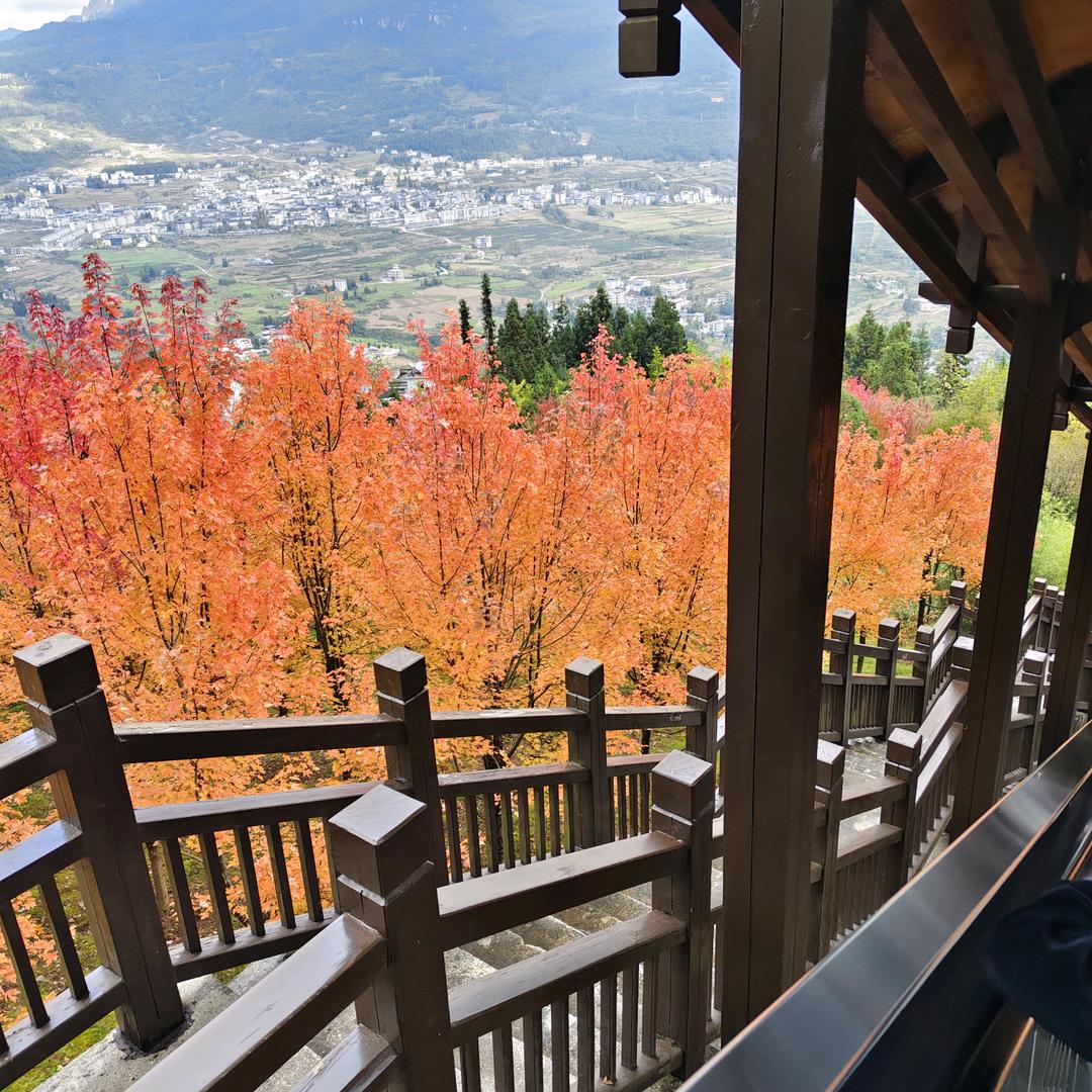 不知道取什么名字