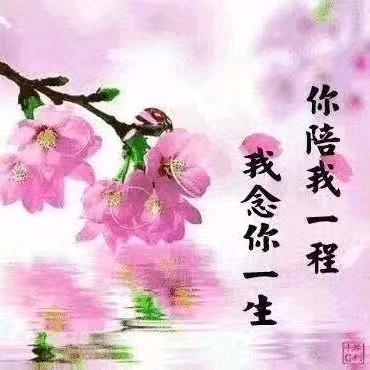 久别重逢
