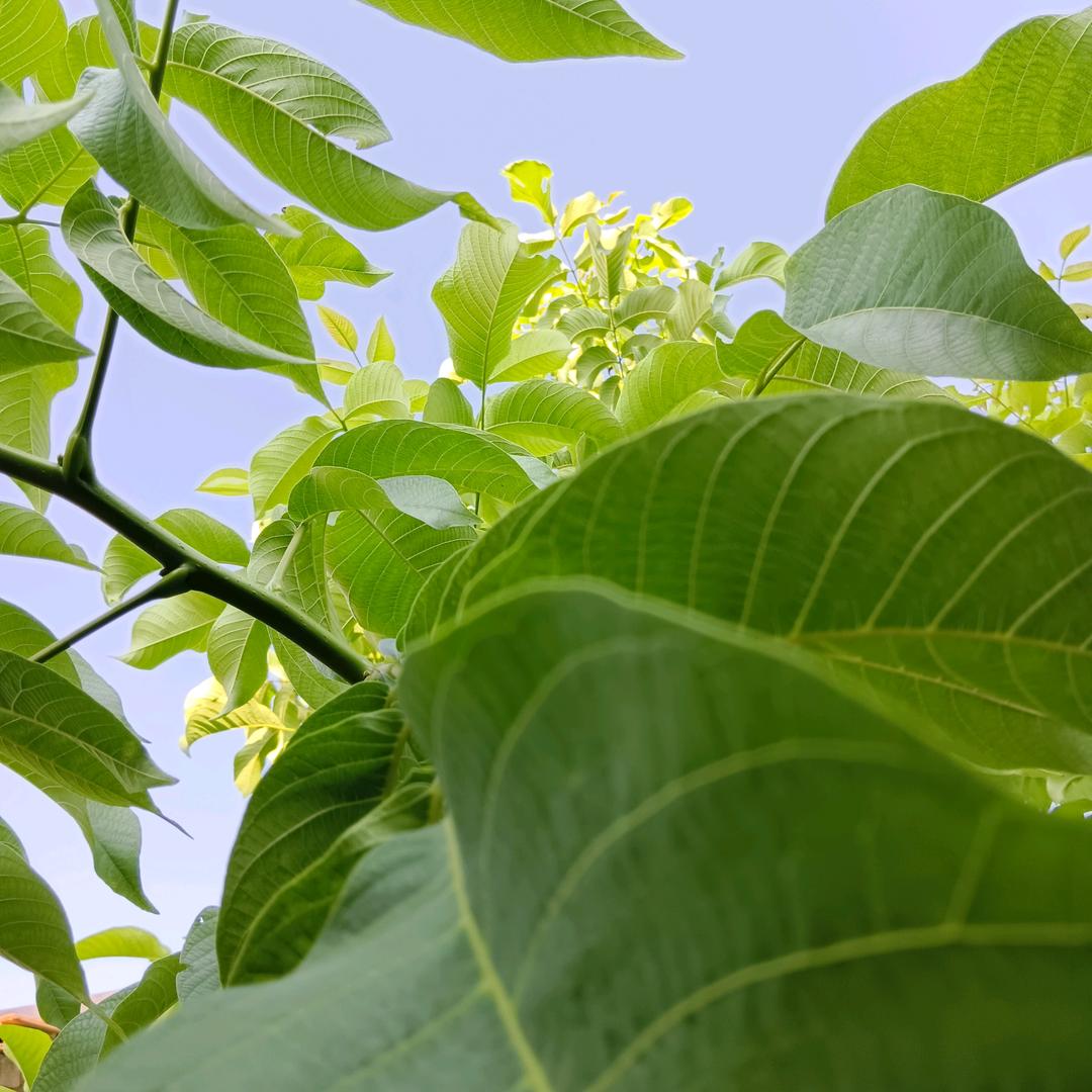 随心所遇