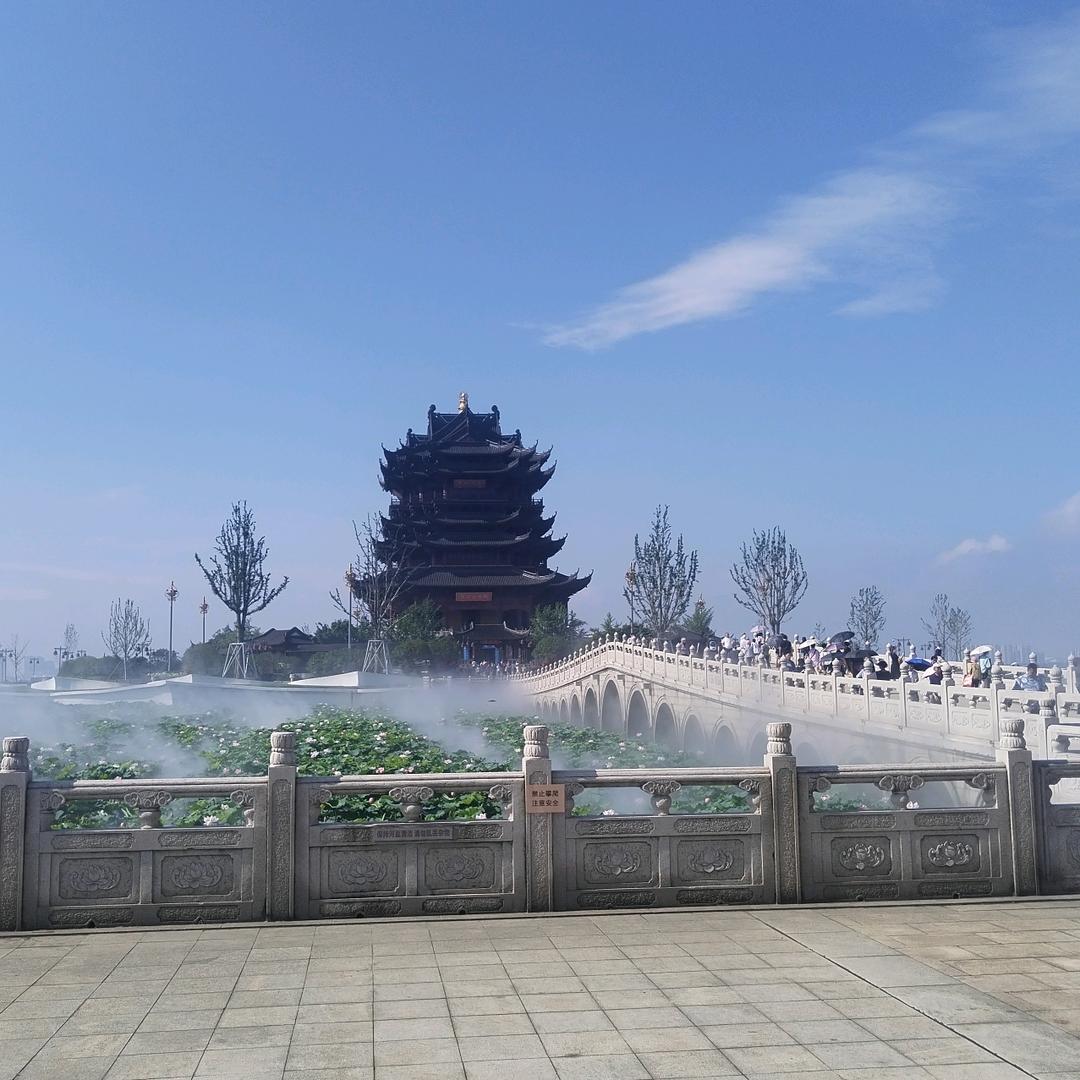 菩提花开；明镜止水