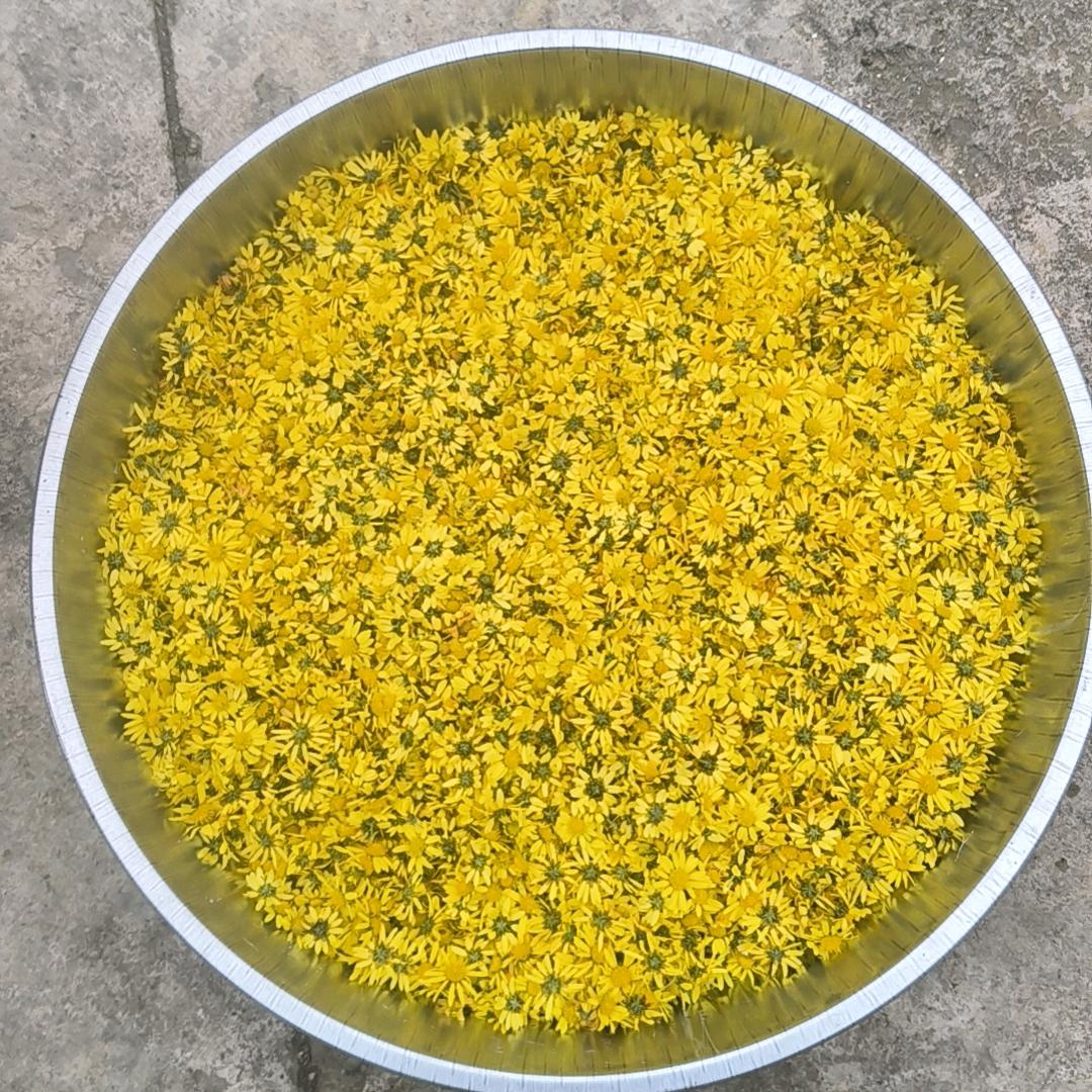 @💋@《风生🌻水起》