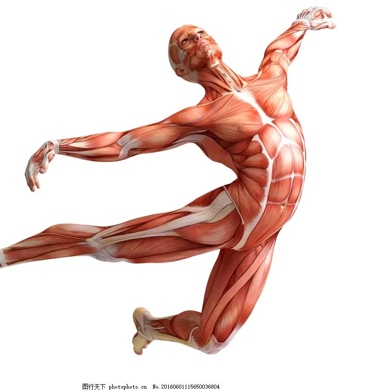 村里那头最懒的老牛