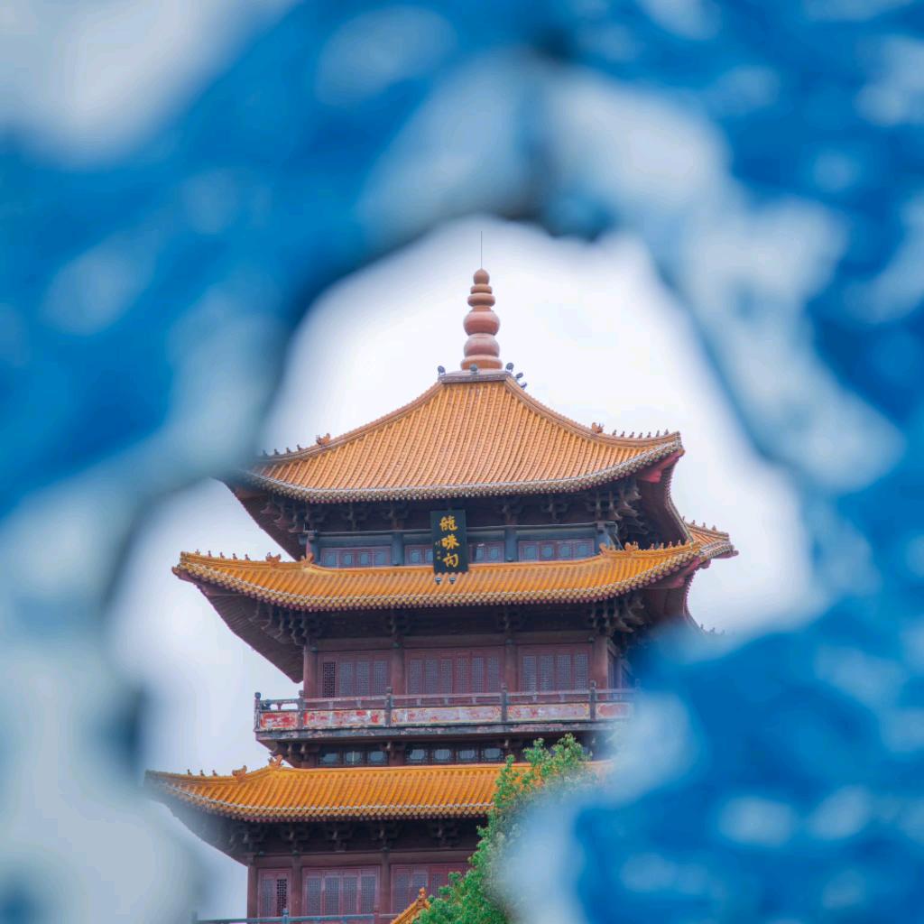 立志成材