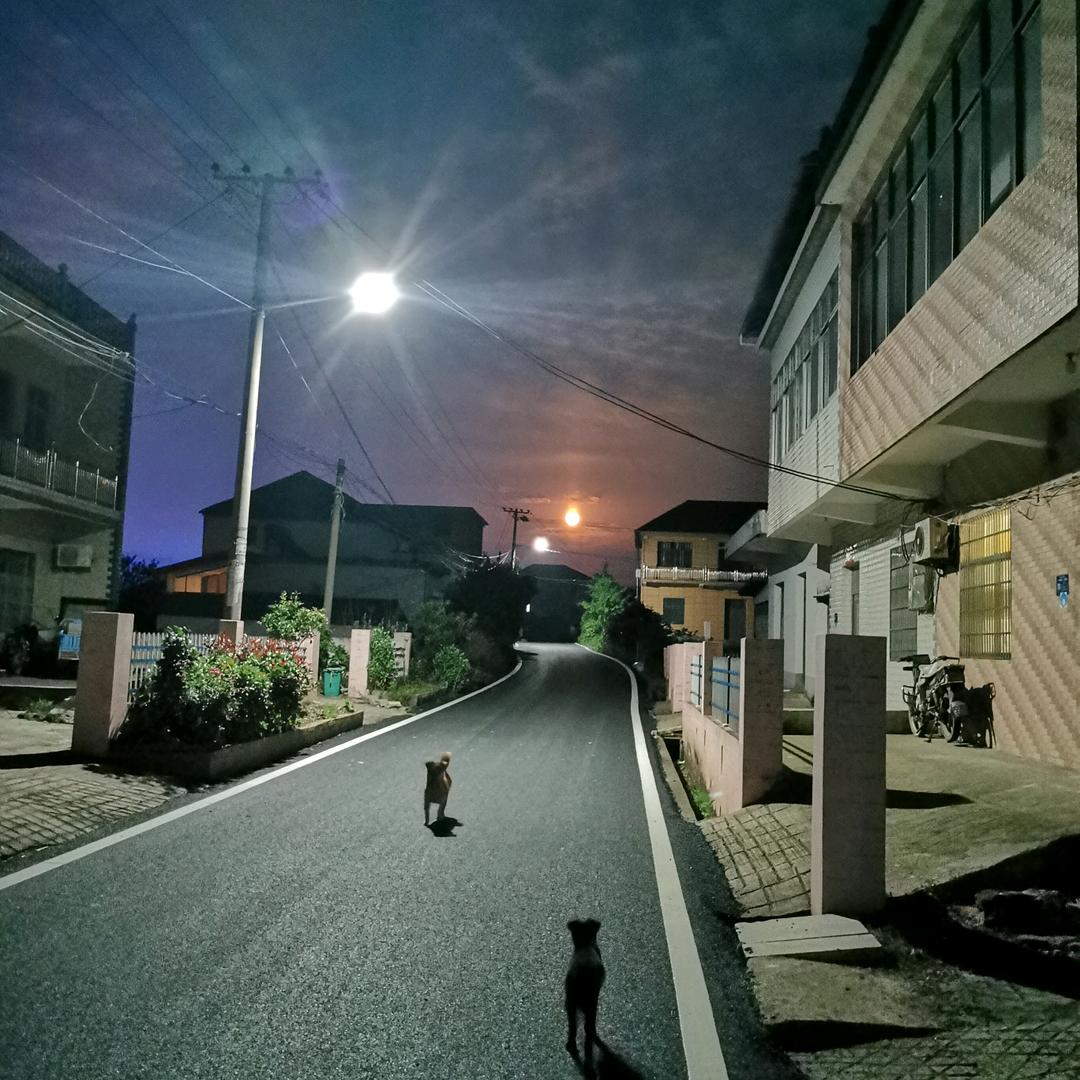 往后余生不负你