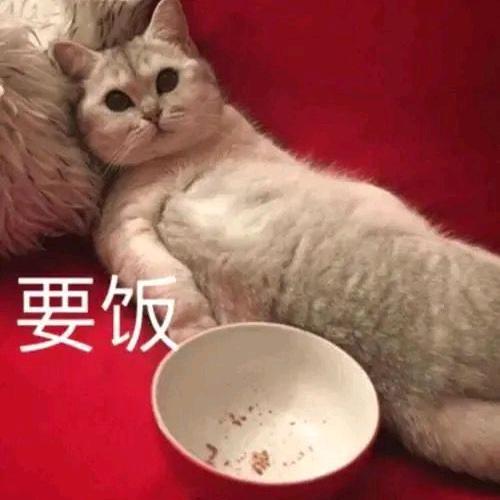 白菜（三角洲行动）