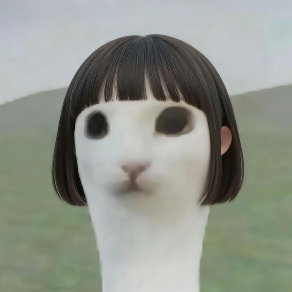 找机会.