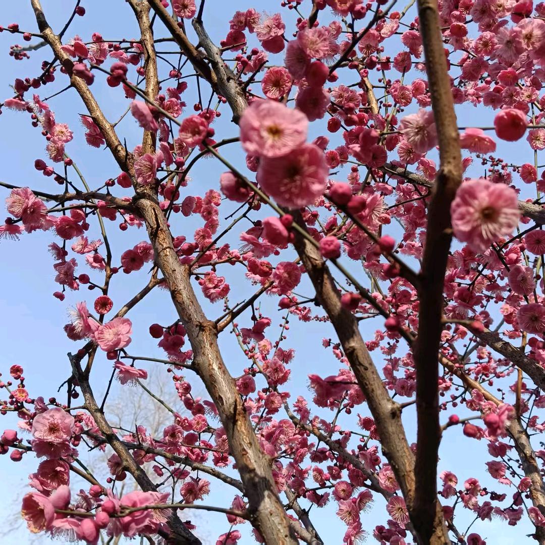 人在江湖