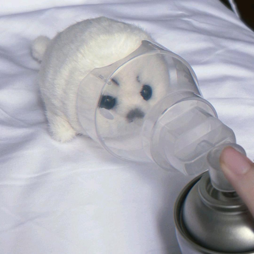 盐焗鸡脚筋（摸鱼版）