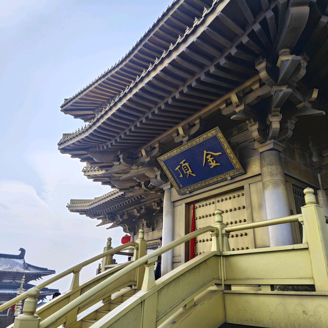 两颗玉米玩一天