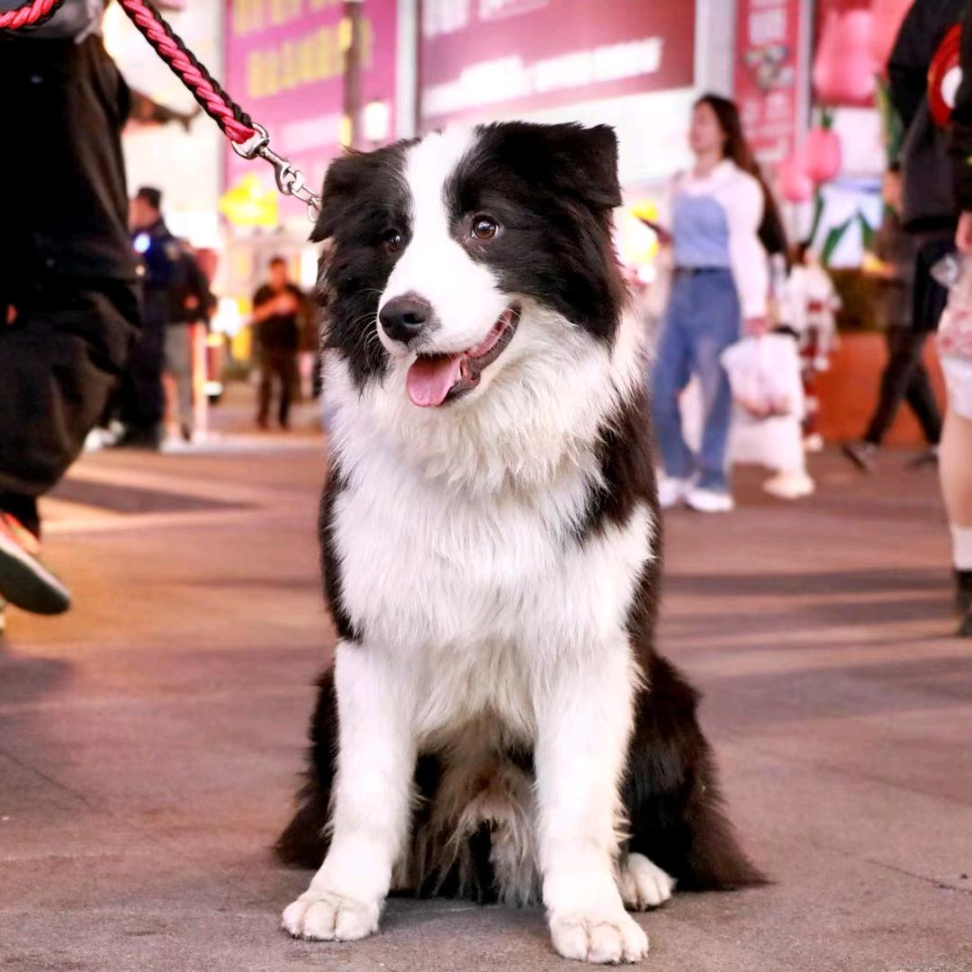 潜水吐泡泡