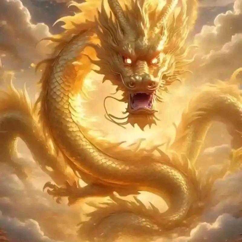 金哥说天下