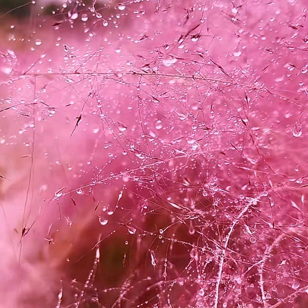 用户712252414618
