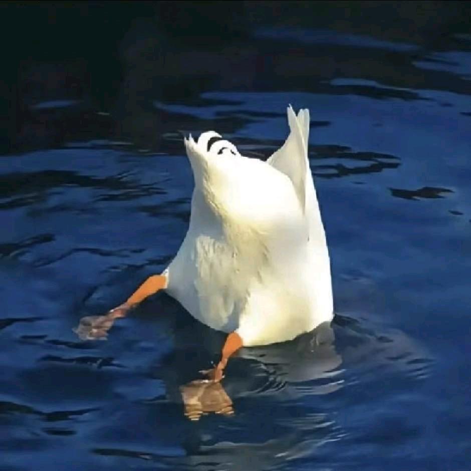 挣钱去平潭