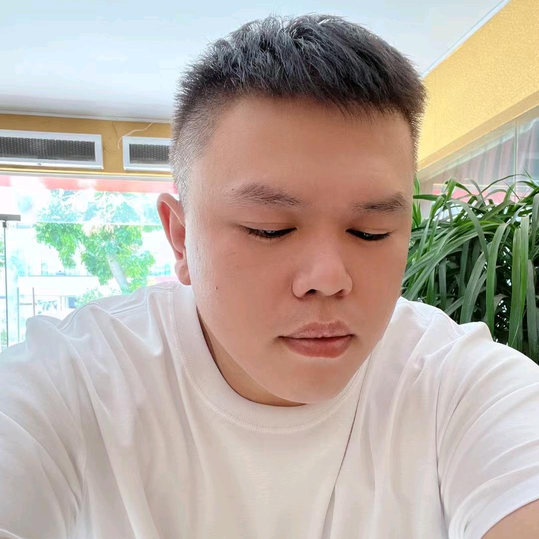 懒猪猪