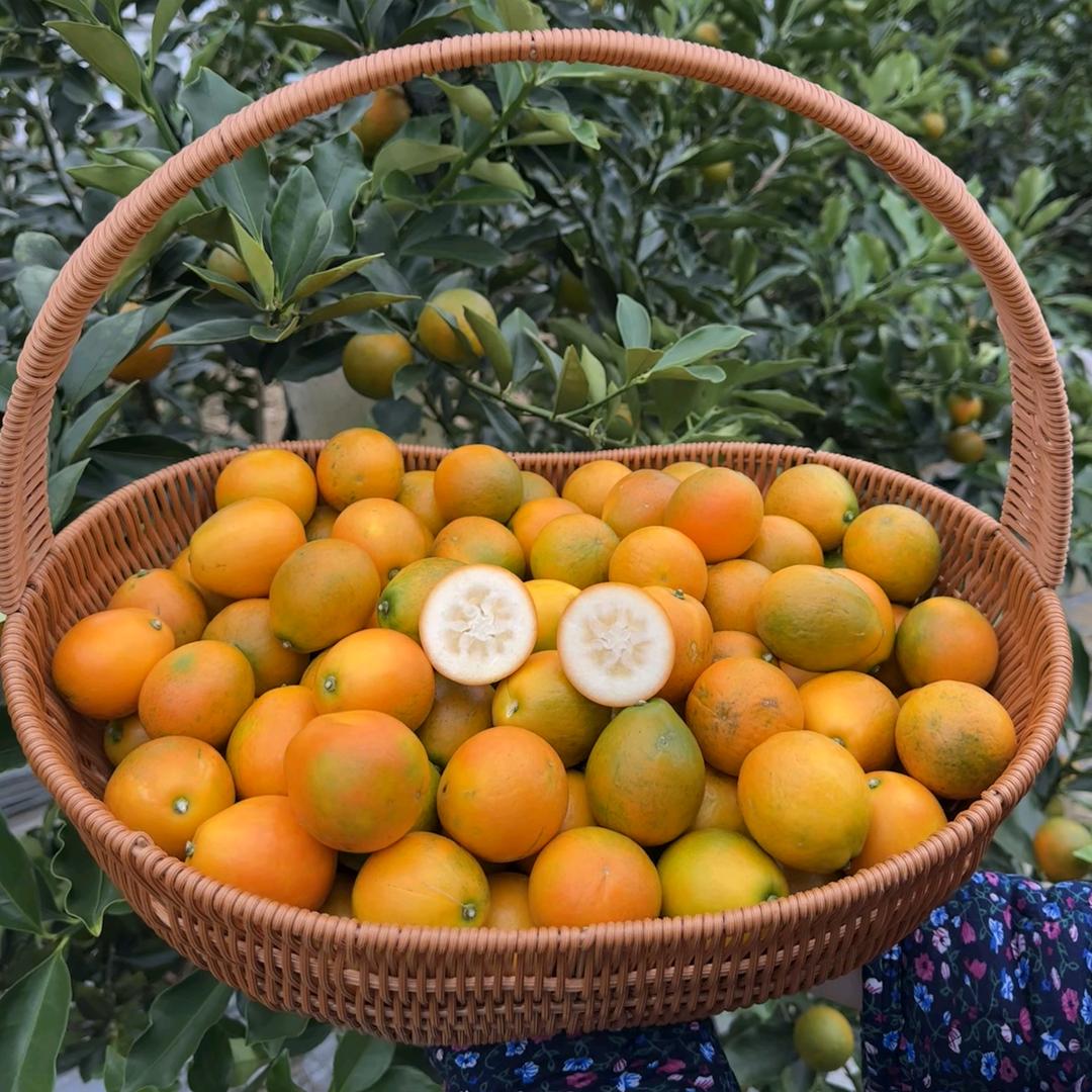 融安裕隆生态农品精选