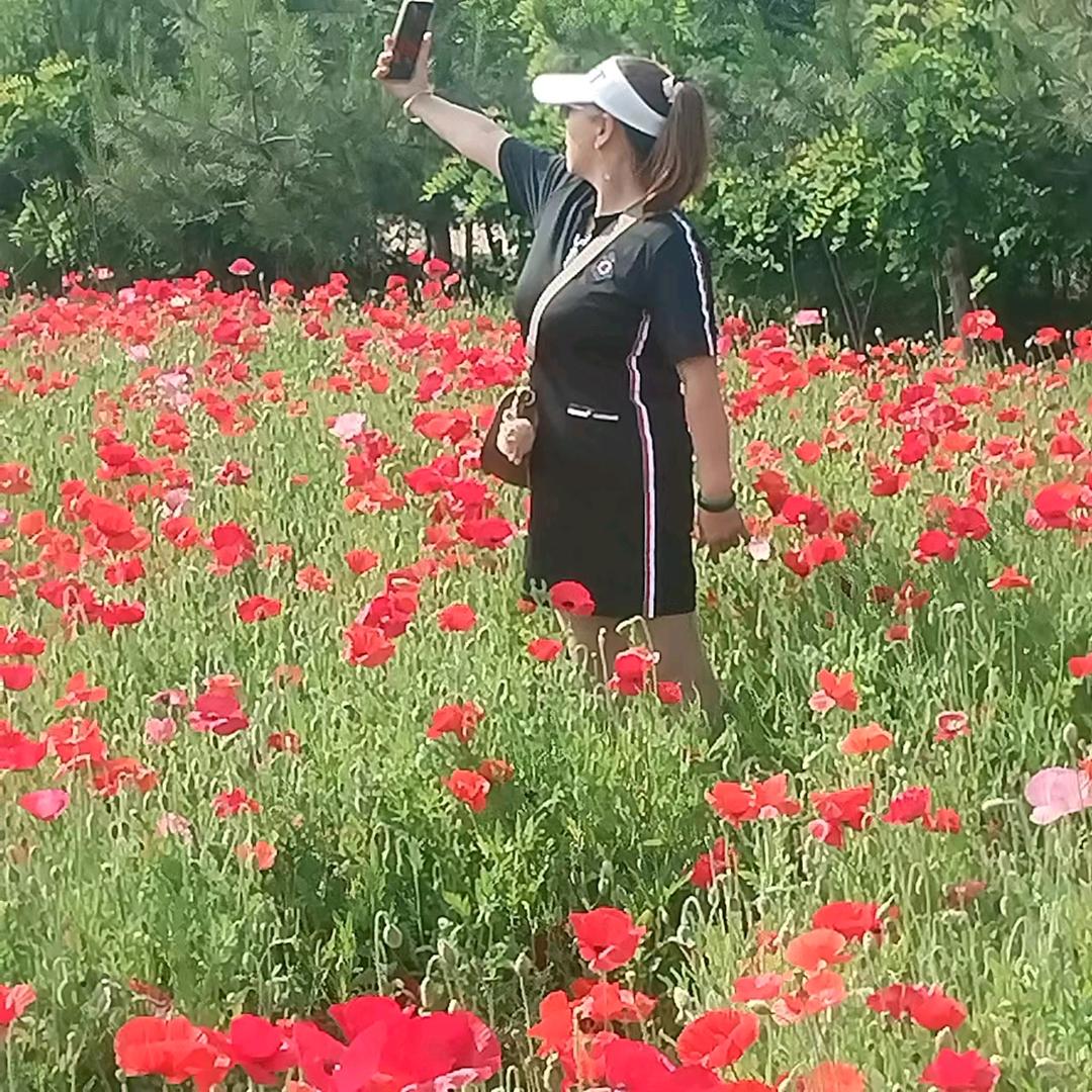 💐☔🌺若兰