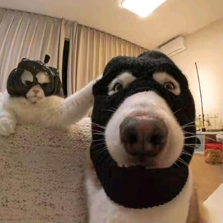 社会葱姜蒜