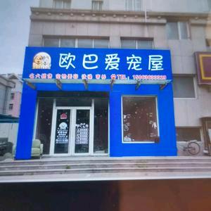 @诸城欧巴宠物店（主要繁育比熊，泰迪熊）