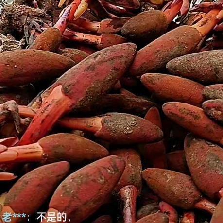 一路向北不回头